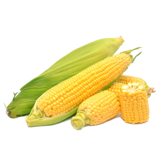 Corn